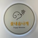 스타일나개 | 창원 진해 애견미용 꽃내음나개 방문 – 비숑 목욕 컷트 후기