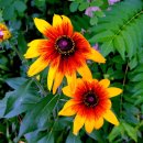 태전공원 이미지