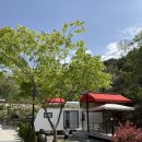 솔솔리조트 2호점 이미지