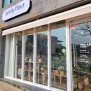 소니아플레르