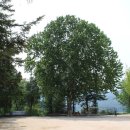 분원초등학교 이미지