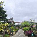 방림원 | 제주 방림원 정원 뷰 카페 고와리