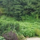 삼현보건진료소 이미지