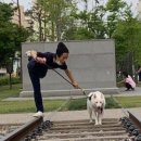 투썸플레이스김제
