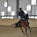 거창 오로라 승마장 이미지