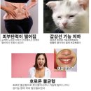 탑점핑다이어트 - 동구 | 탑점핑다이어트