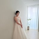 W . 셀레네 촬영 당일 후기 ① l 도트 실크 풍성 드레스