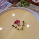 힘센낙지