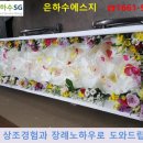 영암효요양병원 이미지