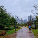 서호꽃뫼 이미지