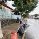 제주감귤농업협동조합위미지점 이미지