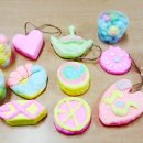 동그리솝 이미지