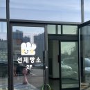 보들보들제빵소 | 청주 빵지순례 코스 추천 주중동 선제빵소 본점 솔직 후기