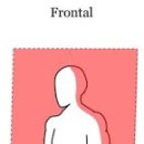 팀타이거짐 13호점 이미지