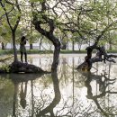 호수에 담다 이미지