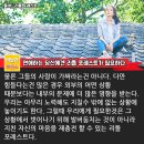 리틀포레스트 이미지