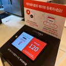 오이도조개92 | 오이도 조개92 후기｜주차, 애견동반 가능! 활 생새우회 먹고 완전 반한 곳🦐🐶