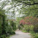 순성보건지소 이미지