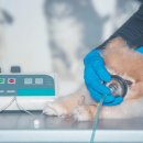 대곡동물병원 이미지