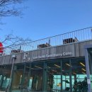 이수미팜베리 이미지