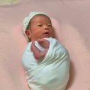 더네이처 산후조리원 | 더네이처산후조리원 마사지 후기 금액, 연계 스튜디오 신생아 뉴본촬영