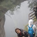 비안도초 이미지