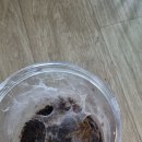 피더독 네이버블로그