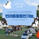 고성라벤더오토캠핑장 이미지