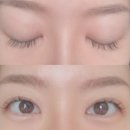 럭셔리뷰티 김포 | 운양동속눈썹의 럭셔리 스팟, 라인뷰티랩에서 경험한 완벽 연장