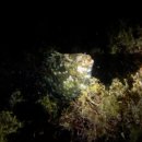 남해-262 이미지