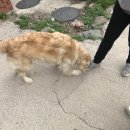 루비노펜션 이미지