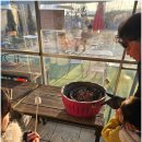 (주)안산종합공업사 | 안산 팜플로리아 동물체험카페, 아이와 가볼만한 실내 데이트 코스!