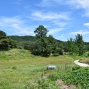 사암리 선돌 이미지