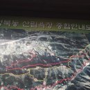 정림수선