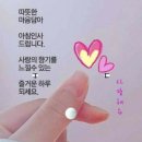 꼬망쎄 네이버블로그