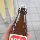 노젓기 일본여행기 -3