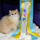 라운드브리(roundbri) 이미지