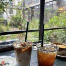 모스가든 | 서울 청담동 맛집 인스타감성 모스가든 내돈내산 후기