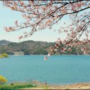 오동선(요골) 네이버블로그
