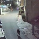 행정용 40 이미지