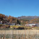 황산2리경로당 이미지