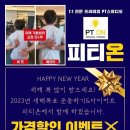 피티온 중동점 이미지