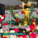 금강사 | 대구 부처님오신날 가기좋은 금강사 점심공양 절밥 연등