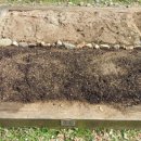 화산농약사 이미지