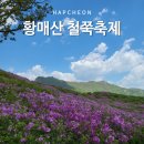 색소폰 | 합천 가볼만한곳 황매산 철쭉축제 기간 주차장 웨이팅 실시간 후기
