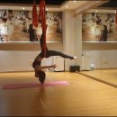 바디라인  필라테스 요가 이미지