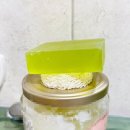 지니비치향 | 천연샴푸추천 바디허벌즈 , 향 좋은 지루성두피염샴푸, 탈모샴푸 바디워시 추천 사용 후기