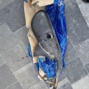 인터비정비소