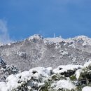 산중문답 이미지