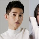 서현디앤씨 이미지